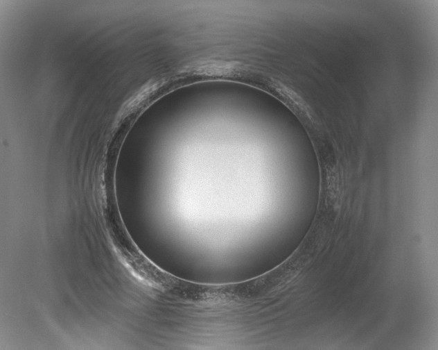 X0000078860682200611201314