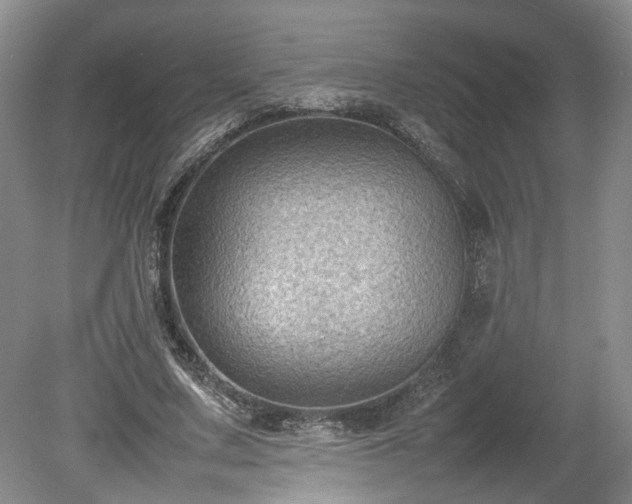 X0000078860683200611201314