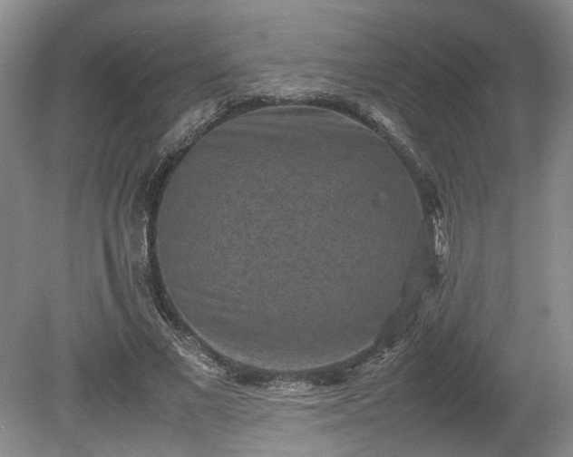 X0000078860685200611201314