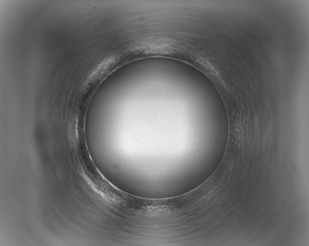 X0000078860686200611201314