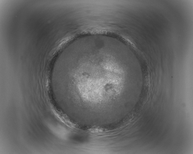 X0000078860687200611201314