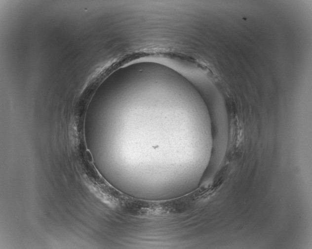 X0000078860688200611201314