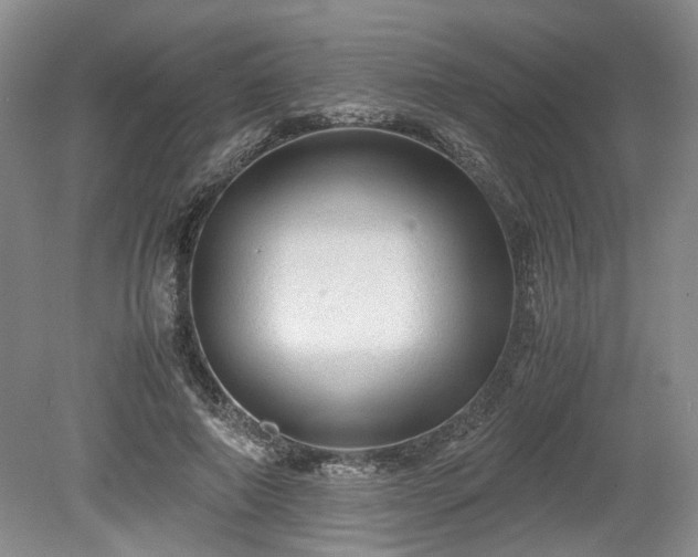 X0000078860690200611201314