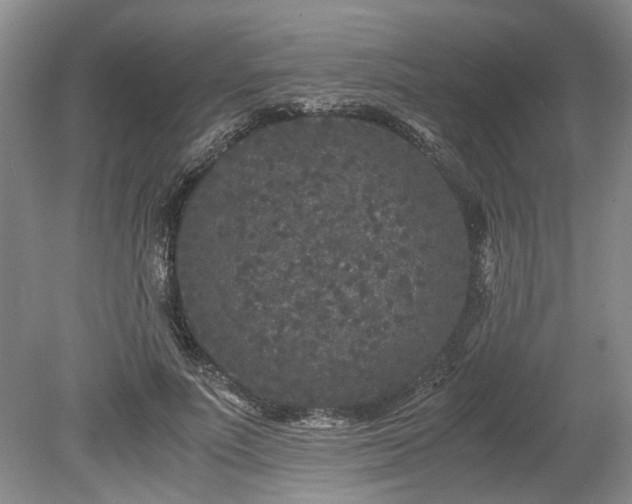 X0000078860691200611201314