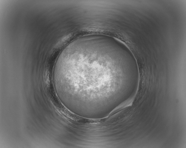 X0000078860692200611201314