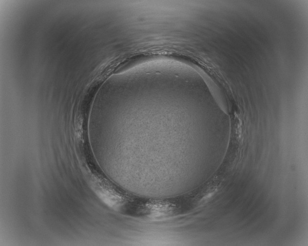 X0000078860693200611201314