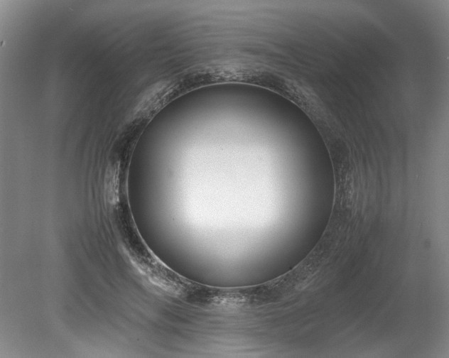 X0000078860694200611201314