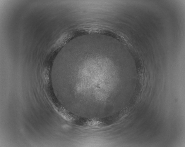 X0000078860695200611201314