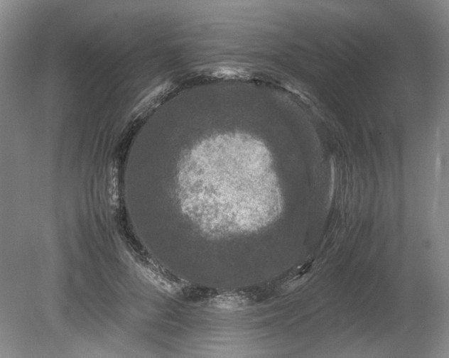 X0000078860696200611201314