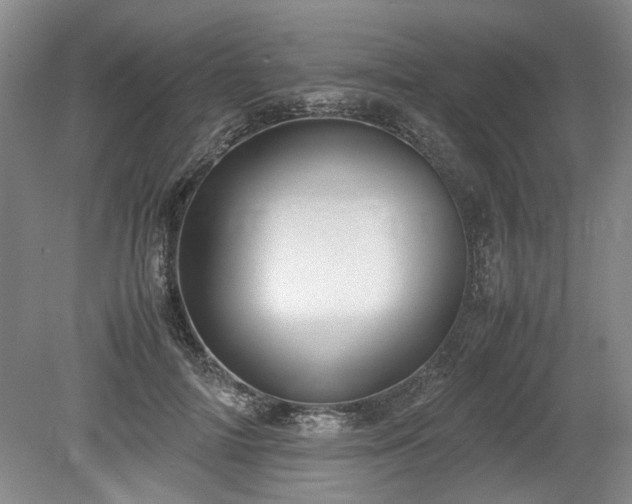 X0000078860698200611201314