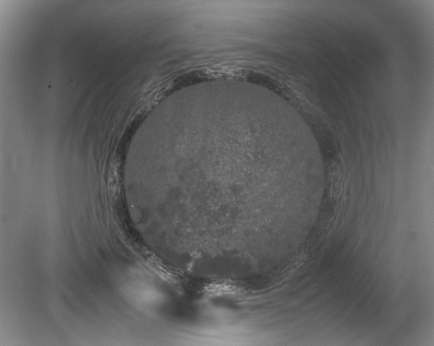 X0000078860699200611201314