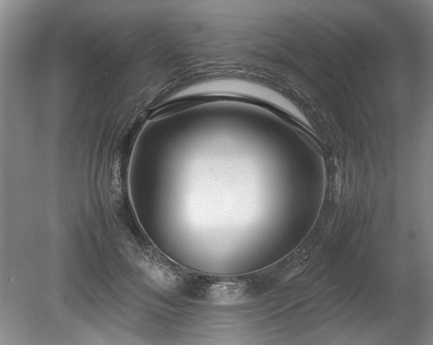 X0000078860700200611201314