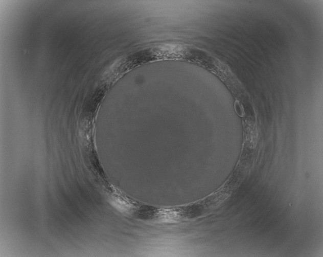 X0000078860701200611201314