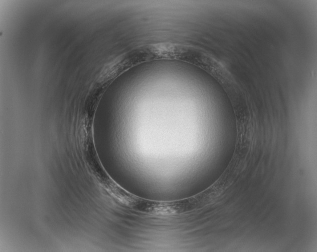 X0000078860702200611201313