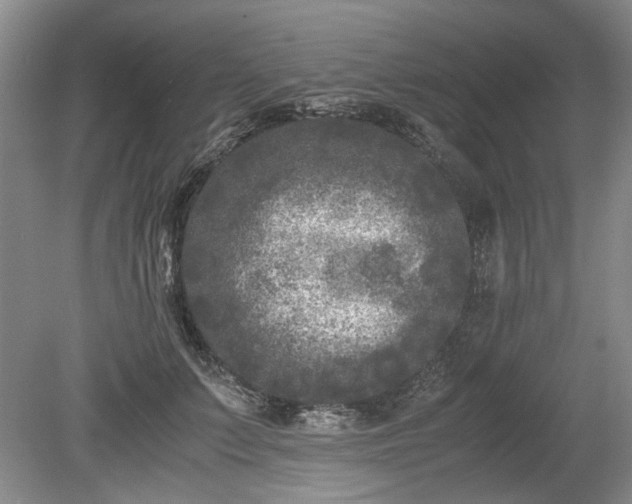 X0000078860703200611201313