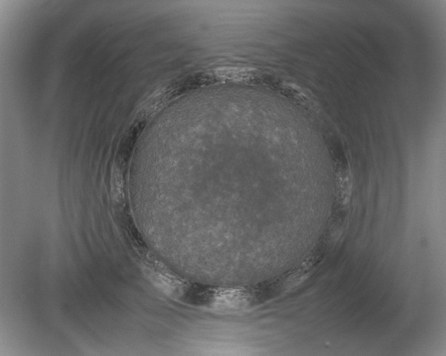 X0000078860705200611201313