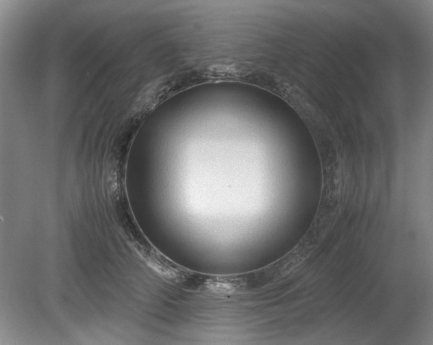 X0000078860706200611201313