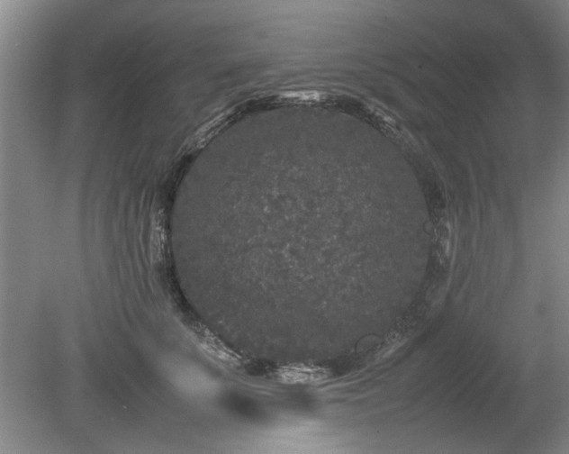 X0000078860707200611201313