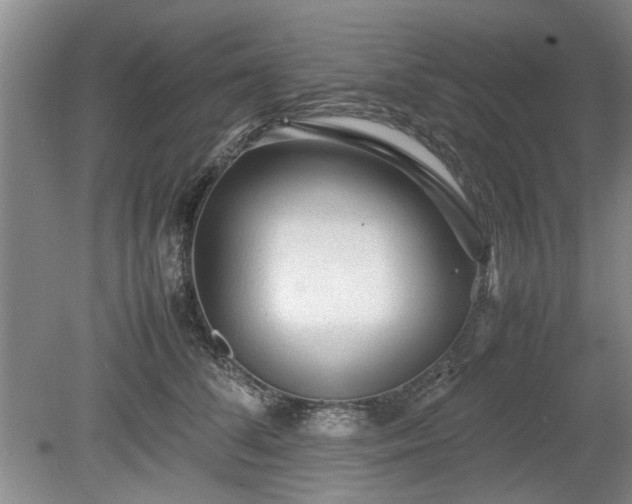 X0000078860708200611201313