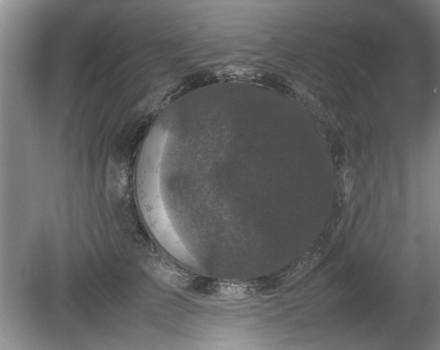 X0000078860709200611201313