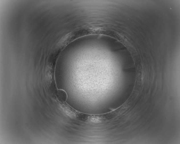 X0000078860710200611201313