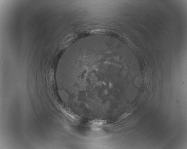 X0000078860711200611201313