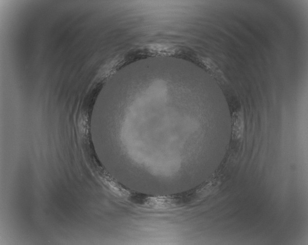 X0000078860713200611201313