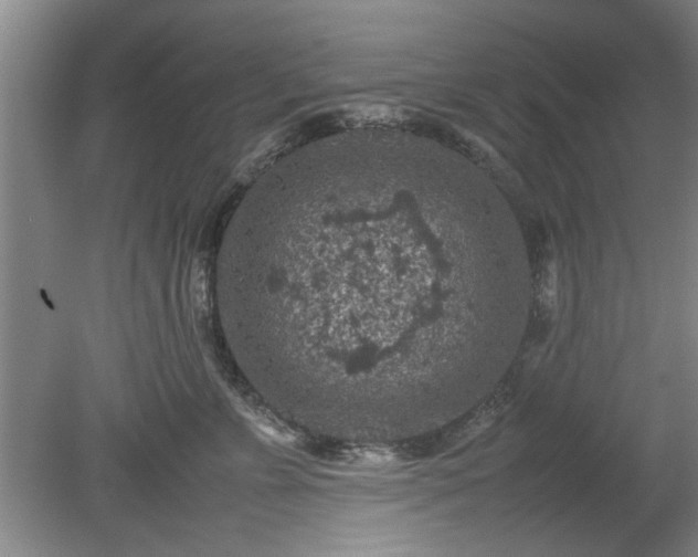 X0000078860715200611201313