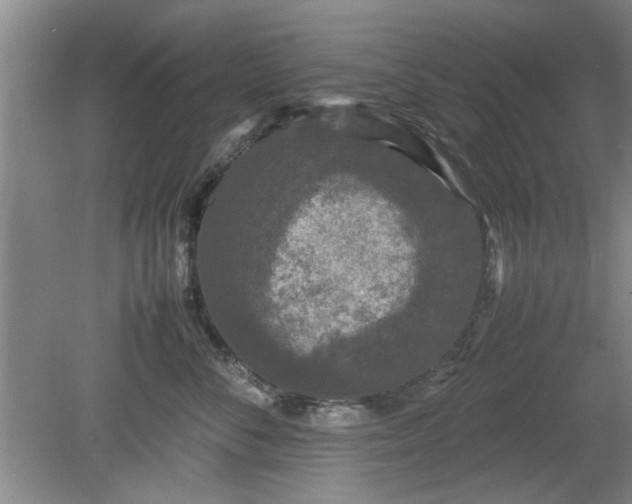 X0000078860716200611201313