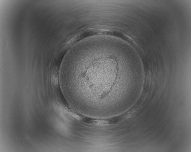 X0000078860719200611201313