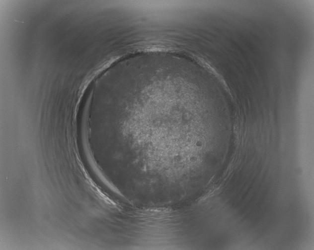 X0000078860721200611201312