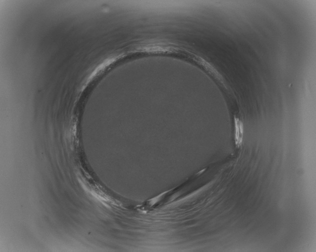 X0000078860723200611201312