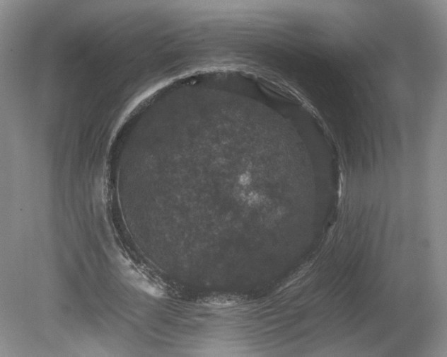 X0000078860724200611201312