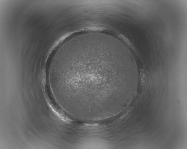 X0000078860726200611201312