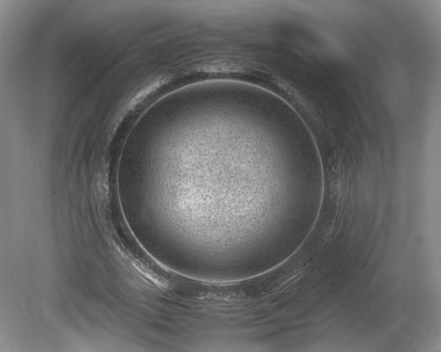 X0000078860727200611201312