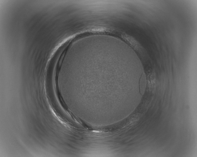 X0000078860728200611201312