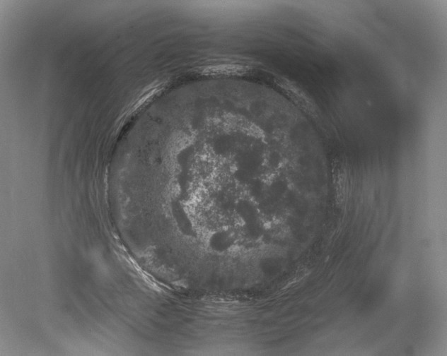 X0000078860729200611201313