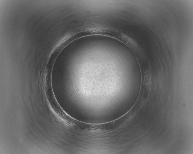 X0000078860730200611201313