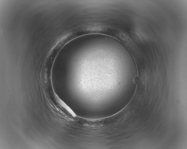 X0000078860731200611201313