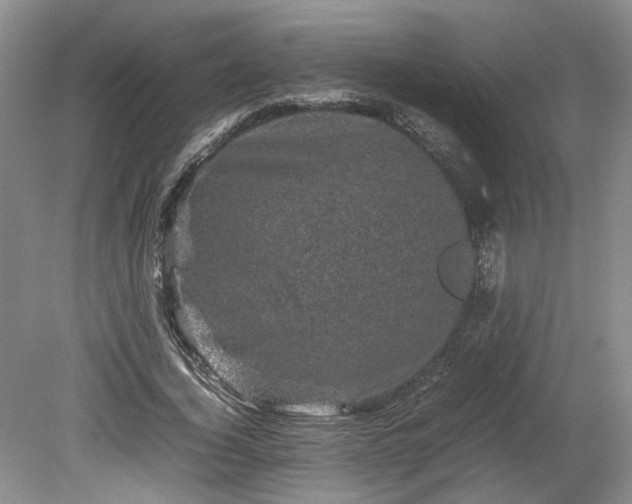 X0000078860732200611201313