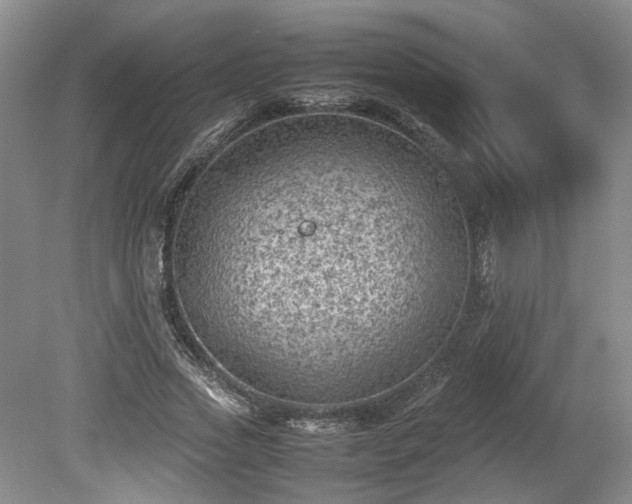 X0000078860733200611201313