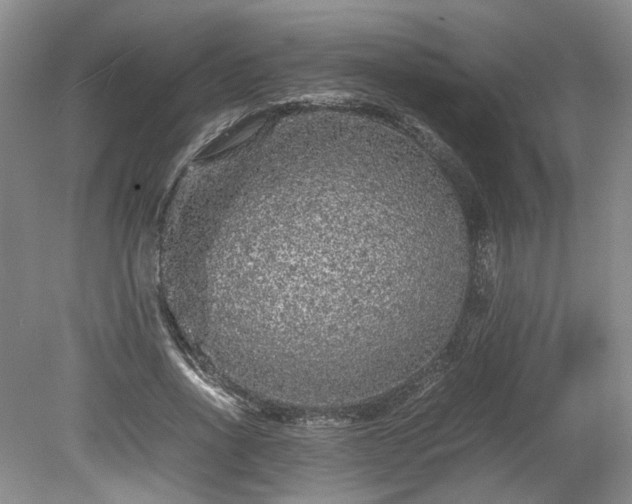 X0000078860734200611201313