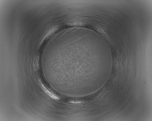 X0000078860735200611201313