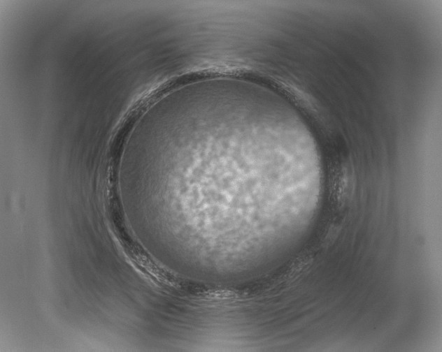 X0000078860736200611201313