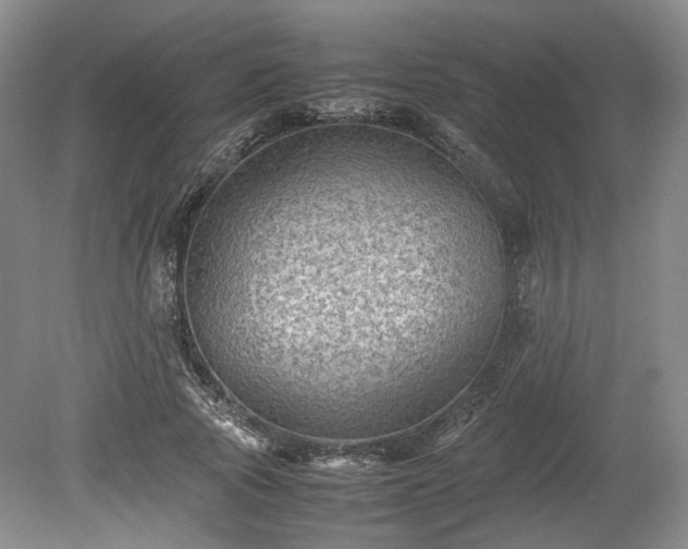 X0000078860737200611201313