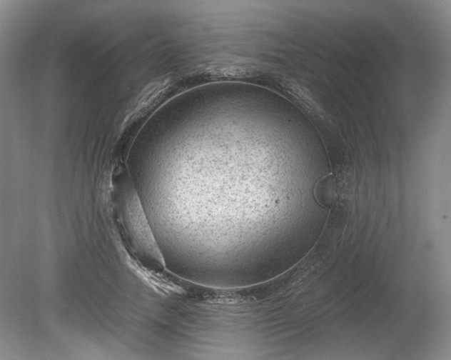 X0000078860738200611201313