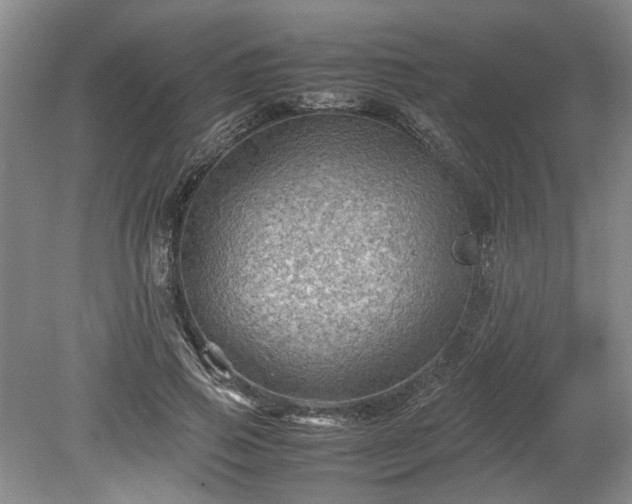 X0000078860741200611201313