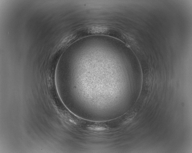 X0000078860743200611201313