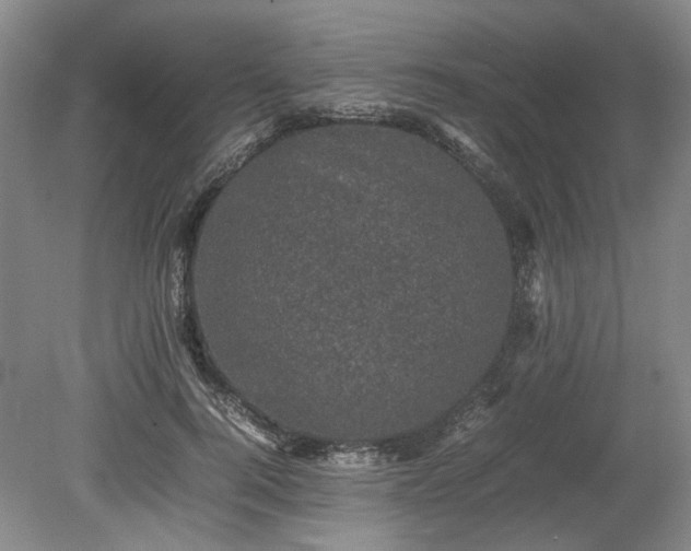 X0000078860744200611201313