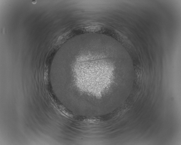 X0000078860745200611201313